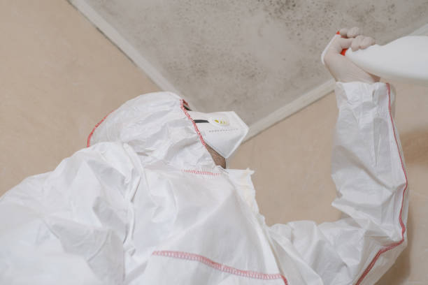 Mold Testing and Removal in Weldon Spring, MO